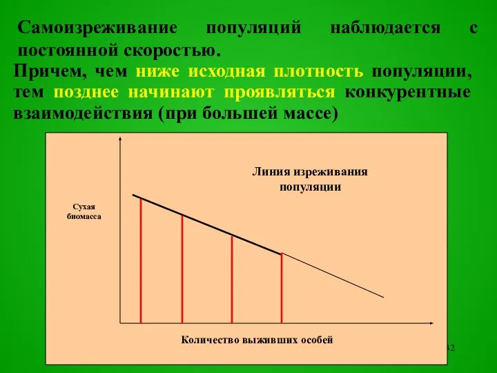 Самоизреживание популяций наблюдается с постоянной скоростью. Линия изреживания популяции