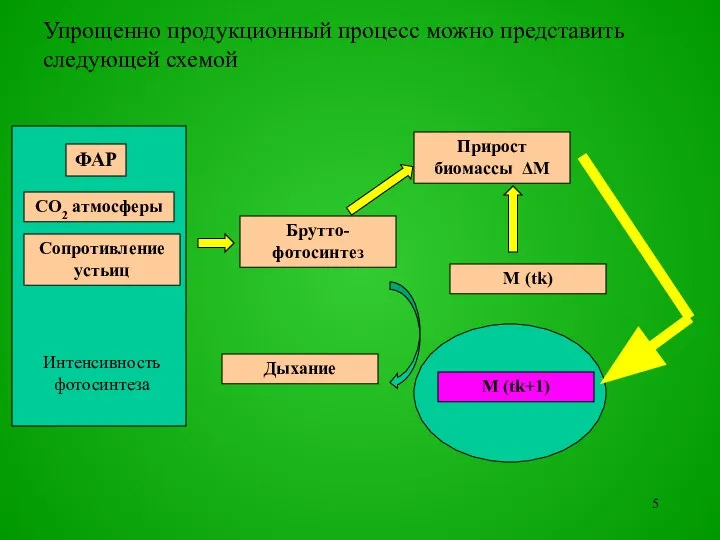 Упрощенно продукционный процесс можно представить следующей схемой ФАР СО2 атмосферы Сопротивление устьиц