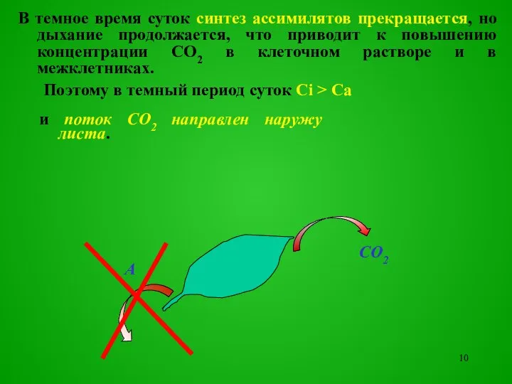 Поэтому в темный период суток Ci > Ca