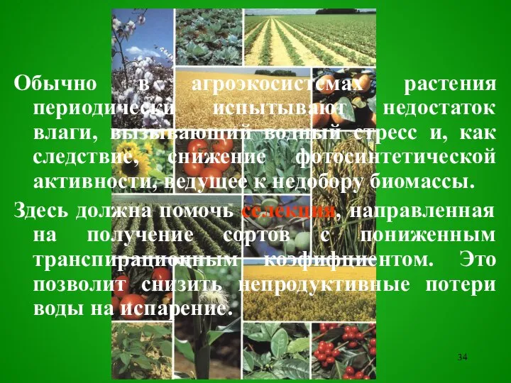 Обычно в агроэкосистемах растения периодически испытывают недостаток влаги, вызывающий водный стресс