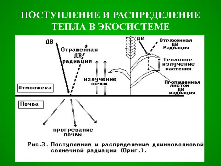 ПОСТУПЛЕНИЕ И РАСПРЕДЕЛЕНИЕ ТЕПЛА В ЭКОСИСТЕМЕ