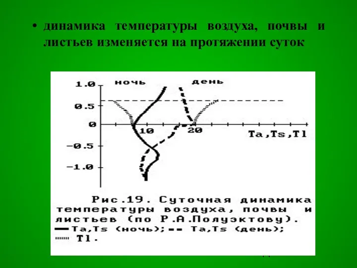 динамика температуры воздуха, почвы и листьев изменяется на протяжении суток