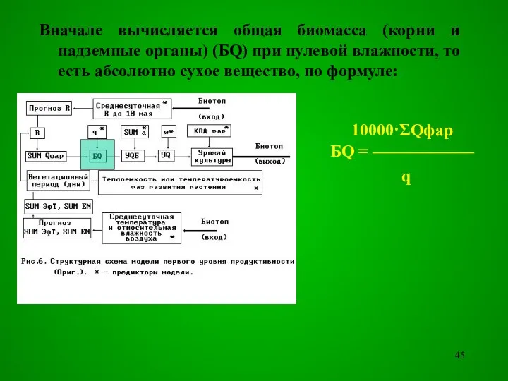 Вначале вычисляется общая биомасса (корни и надземные органы) (БQ) при нулевой