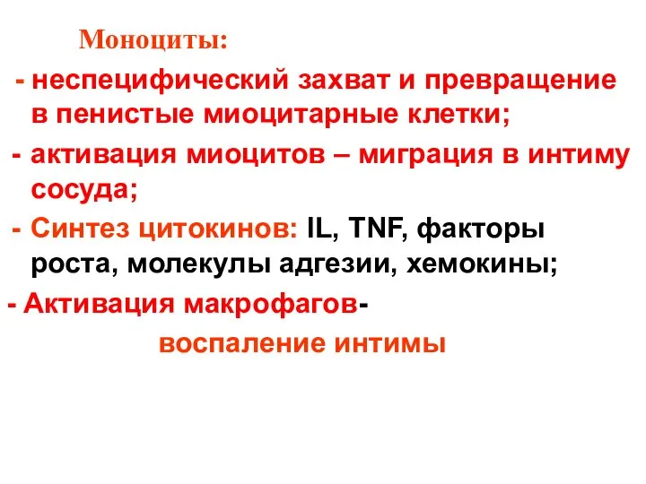 Моноциты: - неспецифический захват и превращение в пенистые миоцитарные клетки; активация