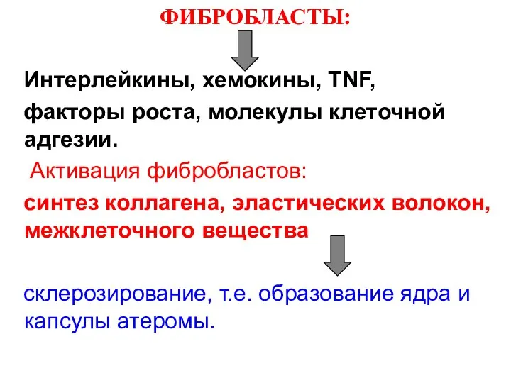 ФИБРОБЛАСТЫ: Интерлейкины, хемокины, TNF, факторы роста, молекулы клеточной адгезии. Активация фибробластов: