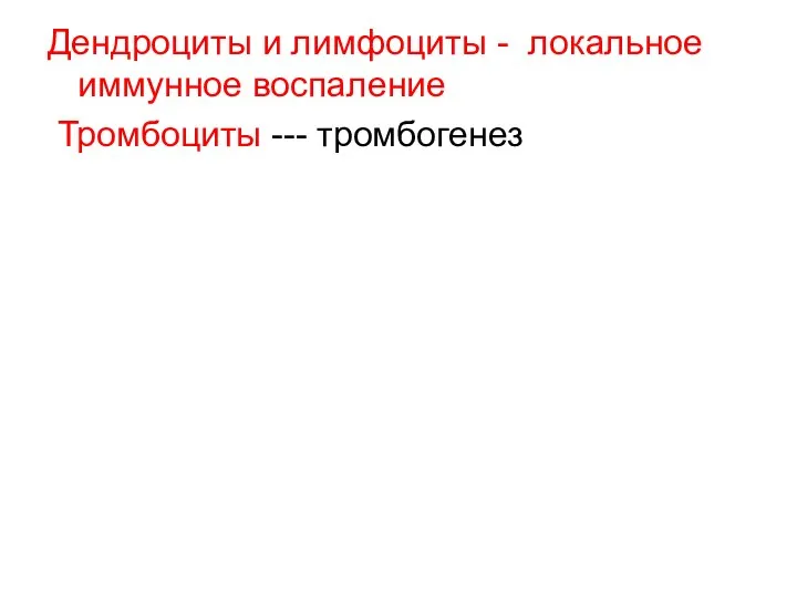 Дендроциты и лимфоциты - локальное иммунное воспаление Тромбоциты --- тромбогенез