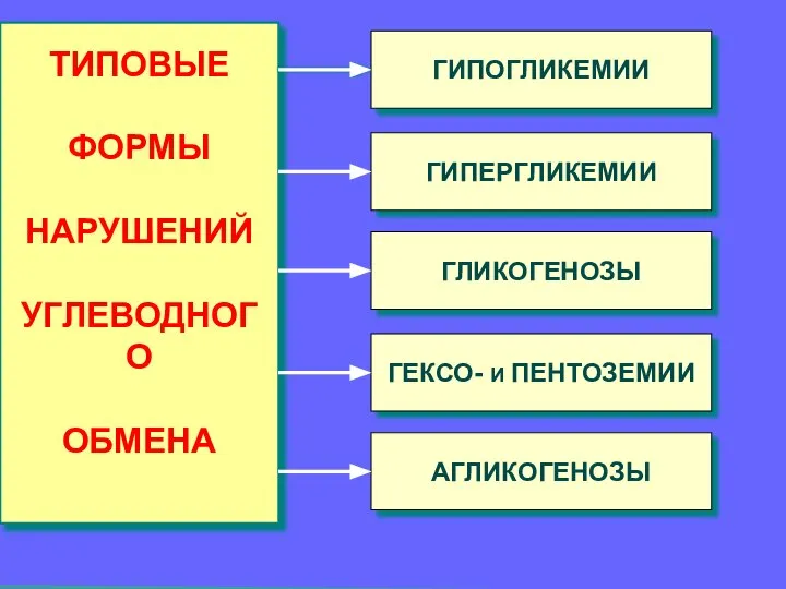 ТИПОВЫЕ ФОРМЫ НАРУШЕНИЙ УГЛЕВОДНОГО ОБМЕНА ГИПОГЛИКЕМИИ ГИПЕРГЛИКЕМИИ ГЛИКОГЕНОЗЫ ГЕКСО- И ПЕНТОЗЕМИИ АГЛИКОГЕНОЗЫ