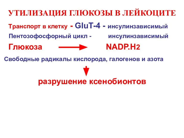 УТИЛИЗАЦИЯ ГЛЮКОЗЫ В ЛЕЙКОЦИТЕ Tранспорт в клетку - GluT-4 - инсулинзависимый