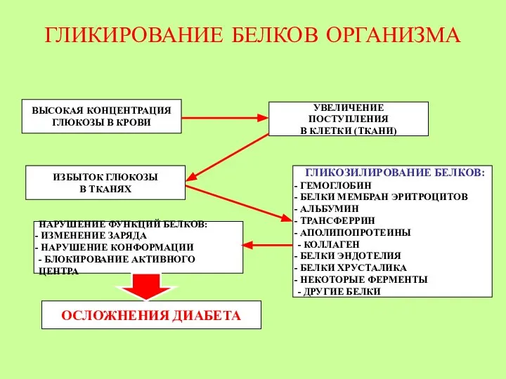 ГЛИКИРОВАНИЕ БЕЛКОВ ОРГАНИЗМА ВЫСОКАЯ КОНЦЕНТРАЦИЯ ГЛЮКОЗЫ В КРОВИ УВЕЛИЧЕНИЕ ПОСТУПЛЕНИЯ В