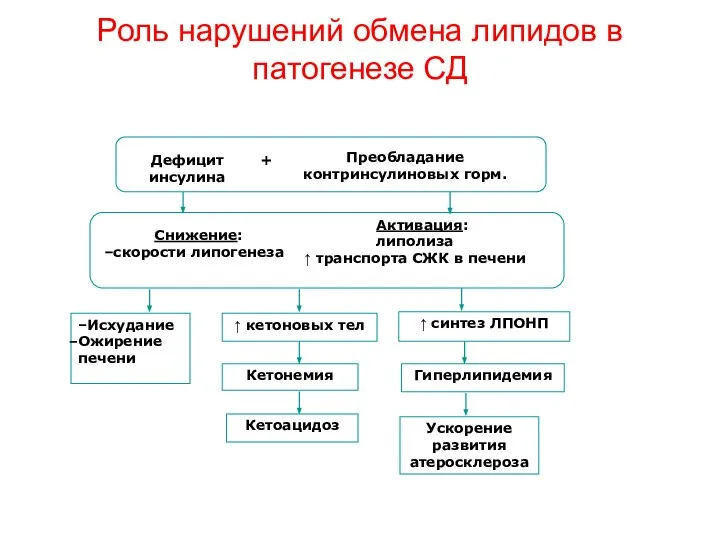 Роль нарушений обмена липидов в патогенезе СД Дефицит инсулина Снижение: скорости