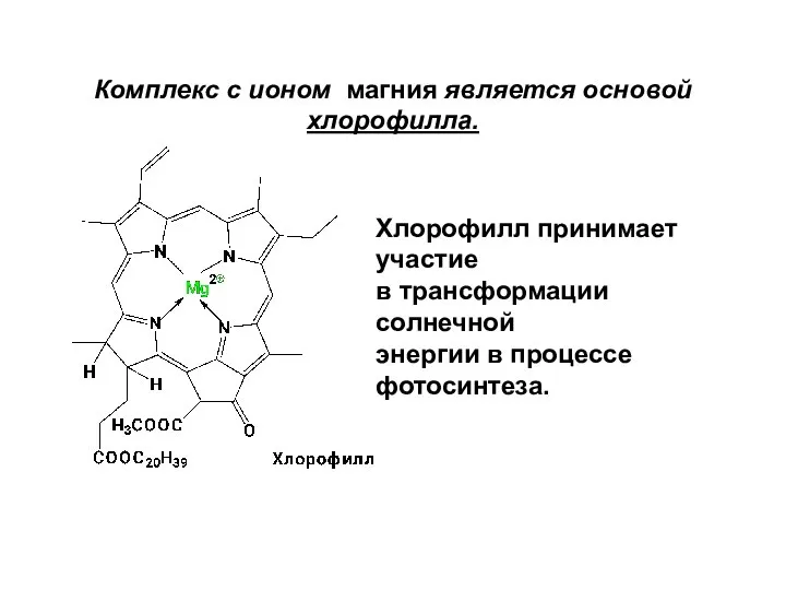 Комплекс с ионом магния является основой хлорофилла. Хлорофилл принимает участие в