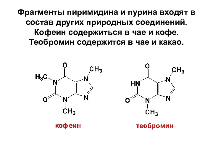 Фрагменты пиримидина и пурина входят в состав других природных соединений. Кофеин