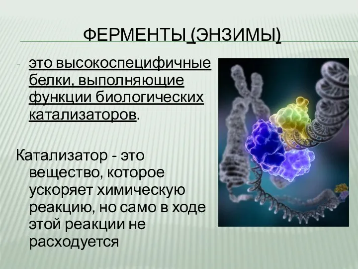 ФЕРМЕНТЫ (ЭНЗИМЫ) это высокоспецифичные белки, выполняющие функции биологических катализаторов. Катализатор -