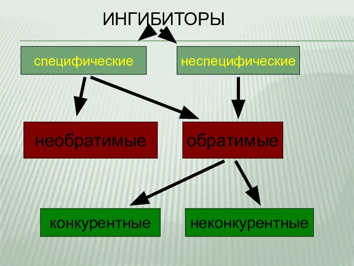 ИНГИБИТОРЫ специфические неспецифические обратимые необратимые конкурентные неконкурентные