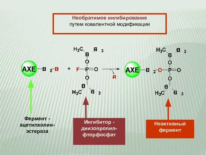 Необратимое ингибирование путем ковалентной модификации Фермент - ацетилхолин- эстераза Ингибитор - диизопропил- фторфосфат Неактивный фермент