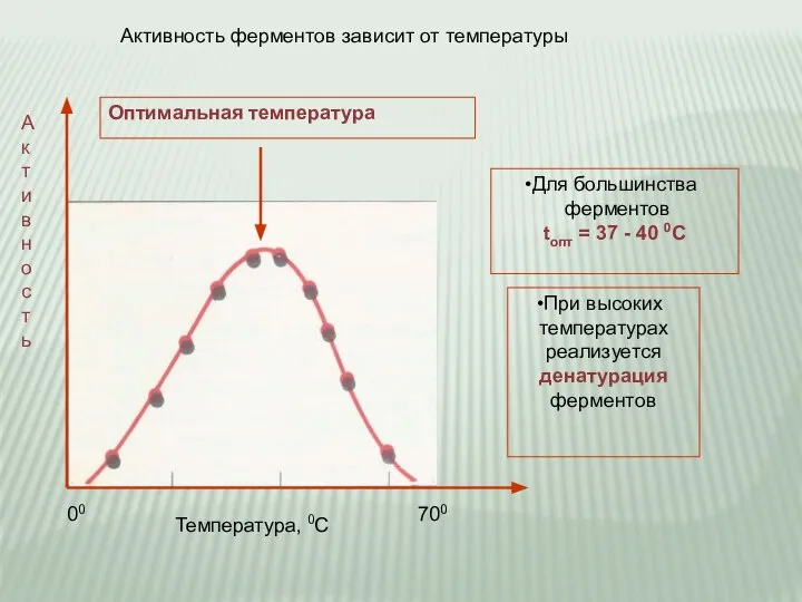 Оптимальная температура 00 700 Активность ферментов зависит от температуры А к