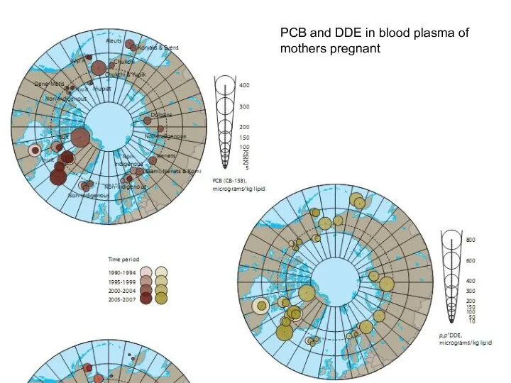 PCB and DDE in blood plasma of mothers pregnant