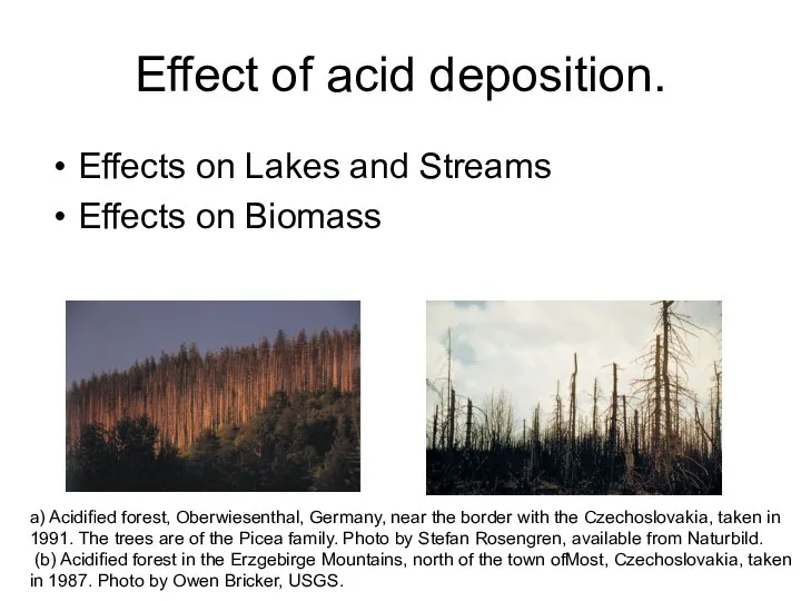 Effect of acid deposition. Effects on Lakes and Streams Effects on