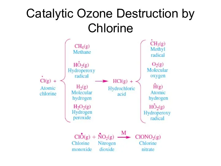 Catalytic Ozone Destruction by Chlorine