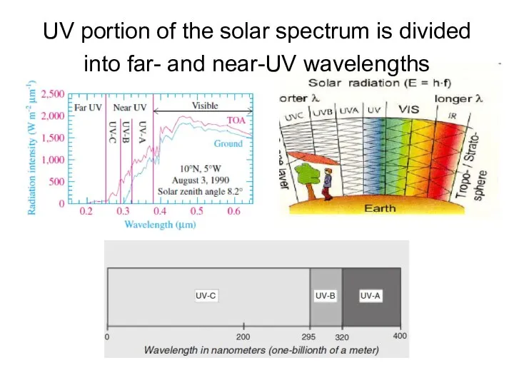 UV portion of the solar spectrum is divided into far- and near-UV wavelengths