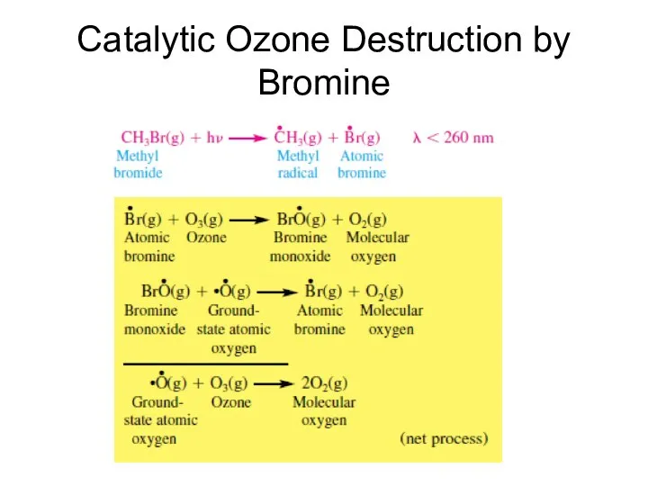 Catalytic Ozone Destruction by Bromine