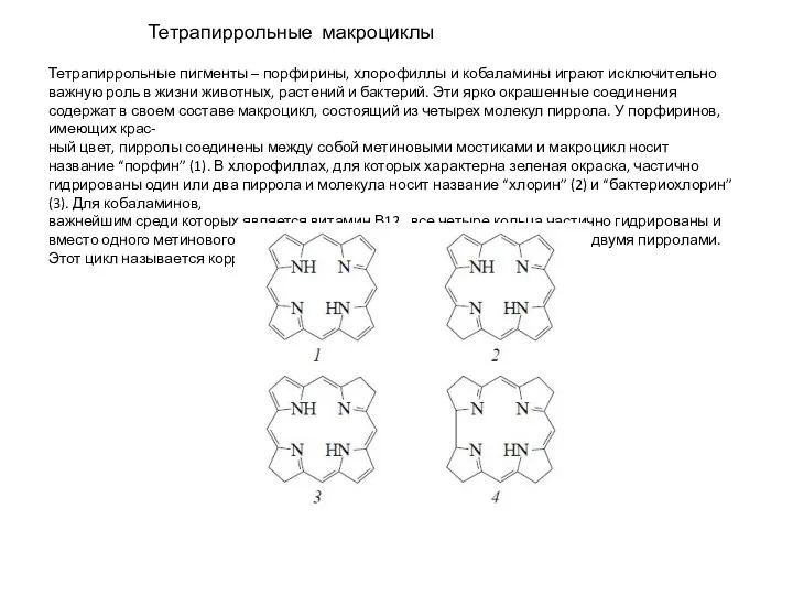 Тетрапиррольные макроциклы Тетрапиррольные пигменты – порфирины, хлорофиллы и кобаламины играют исключительно