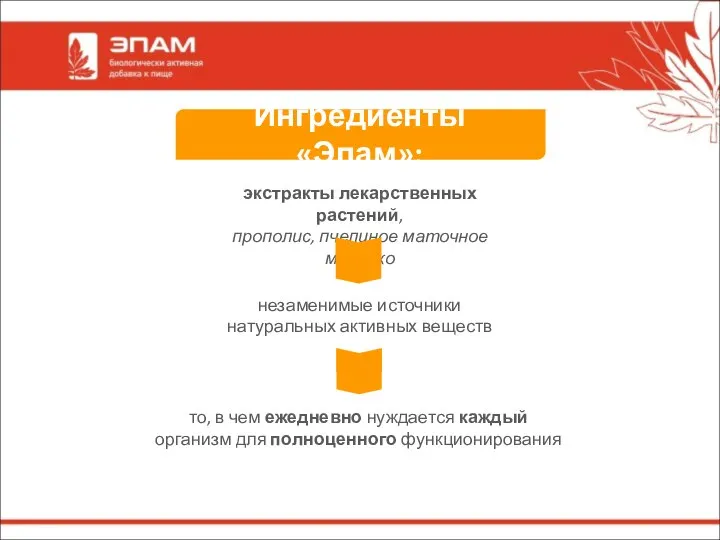 экстракты лекарственных растений, прополис, пчелиное маточное молочко незаменимые источники натуральных активных