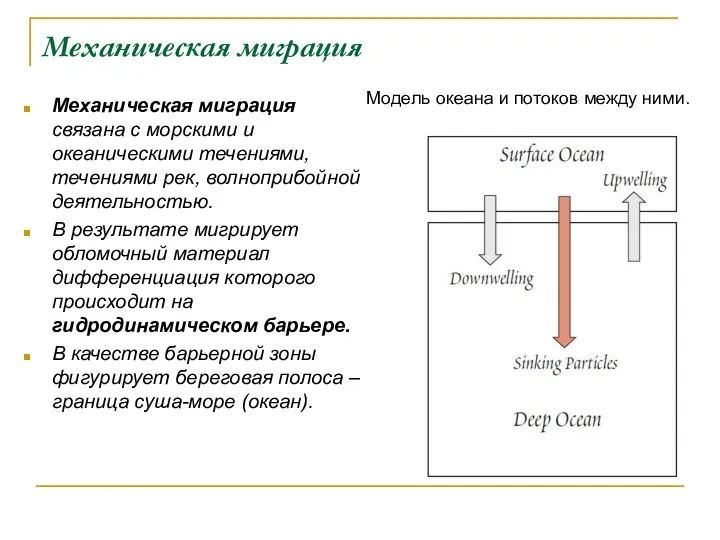 Механическая миграция Механическая миграция связана с морскими и океаническими течениями, течениями