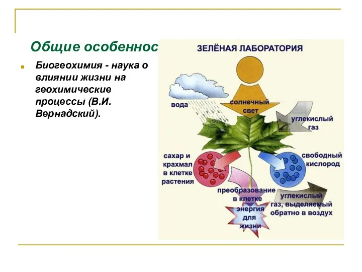 Общие особенности биогенной миграции Биогеохимия - наука о влиянии жизни на геохимические процессы (В.И. Вернадский).