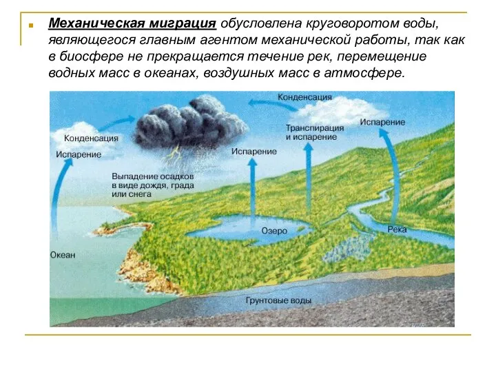 Механическая миграция обусловлена круговоротом воды, являющегося главным агентом механической работы, так