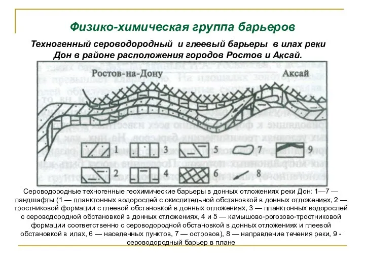 Физико-химическая группа барьеров Техногенный сероводородный и глеевый барьеры в илах реки