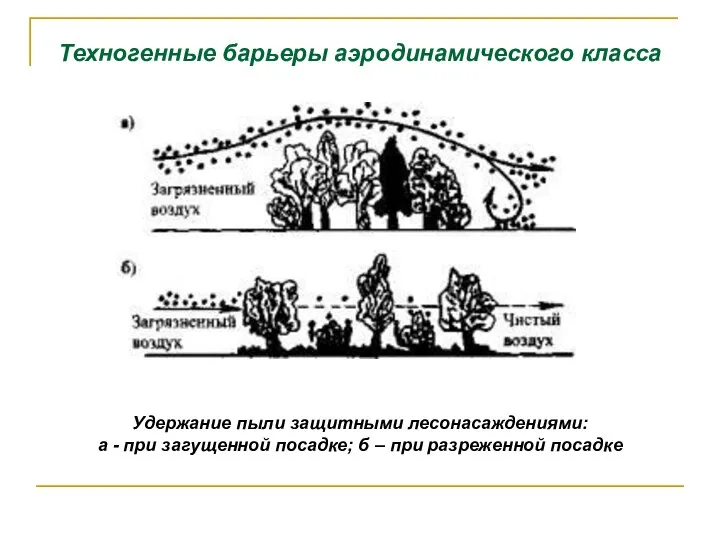 Техногенные барьеры аэродинамического класса Удержание пыли защитными лесонасаждениями: а - при