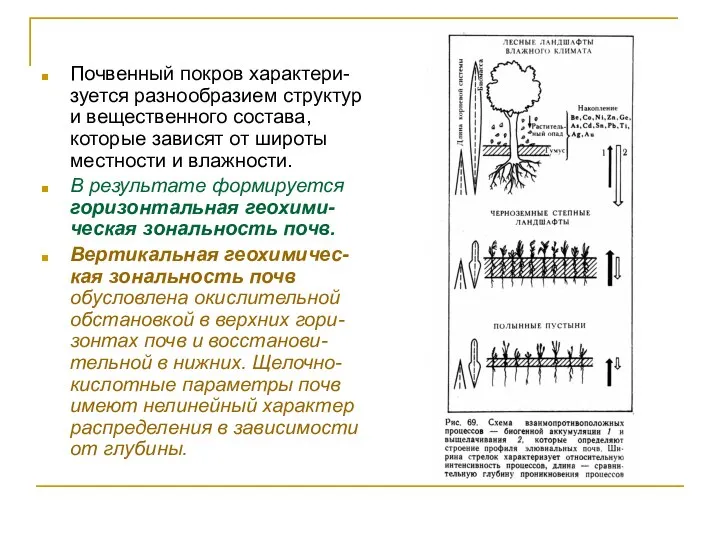 Почвенный покров характери-зуется разнообразием структур и вещественного состава, которые зависят от