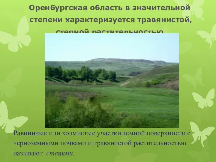 Оренбургская область в значительной степени характеризуется травянистой, степной растительностью. Равнинные или