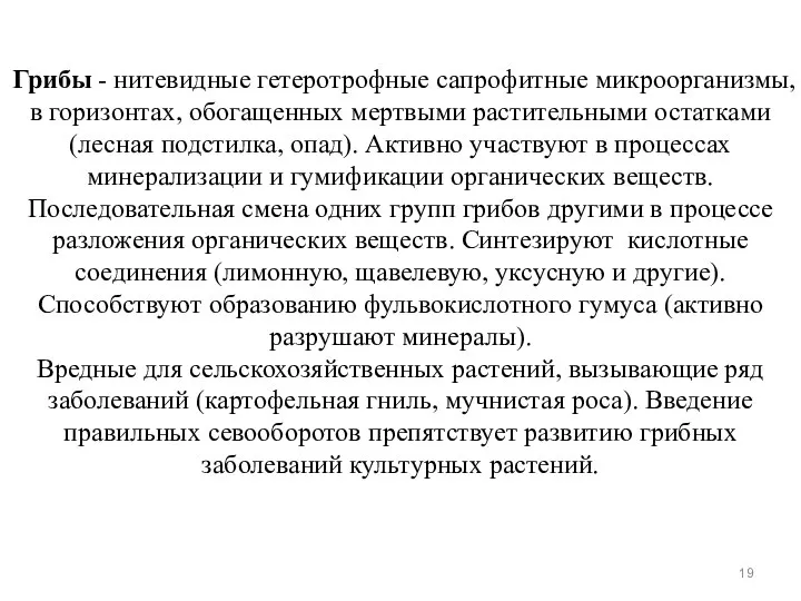 Грибы - нитевидные гетеротрофные сапрофитные микроорганизмы, в горизонтах, обогащенных мертвыми растительными