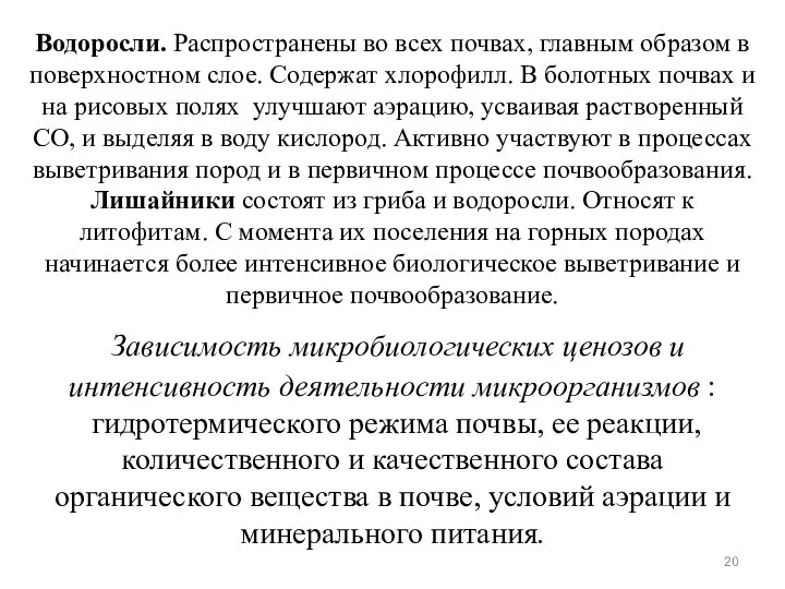 Водоросли. Распространены во всех почвах, главным образом в поверхностном слое. Содержат