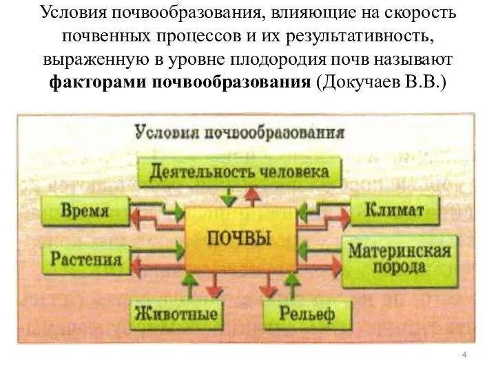 Условия почвообразования, влияющие на скорость почвенных процессов и их результативность, выраженную