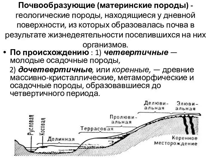 Почвообразующие (материнские породы) - геологические породы, находящиеся у дневной поверхности, из