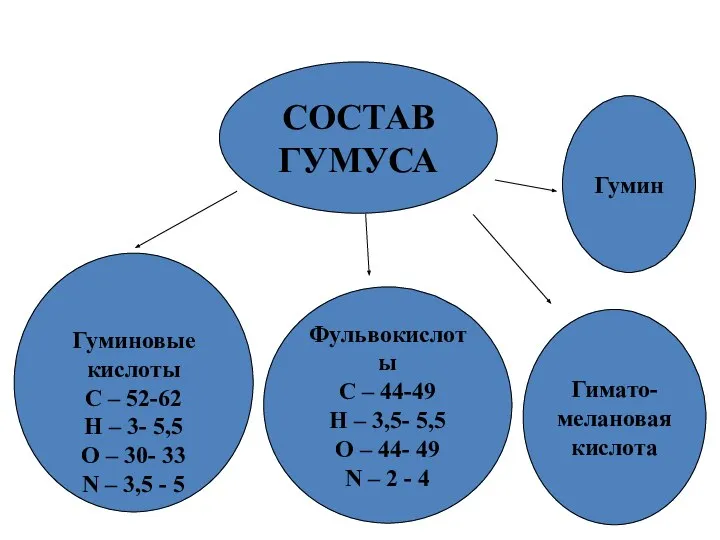 СОСТАВ ГУМУСА Гуминовые кислоты С – 52-62 Н – 3- 5,5