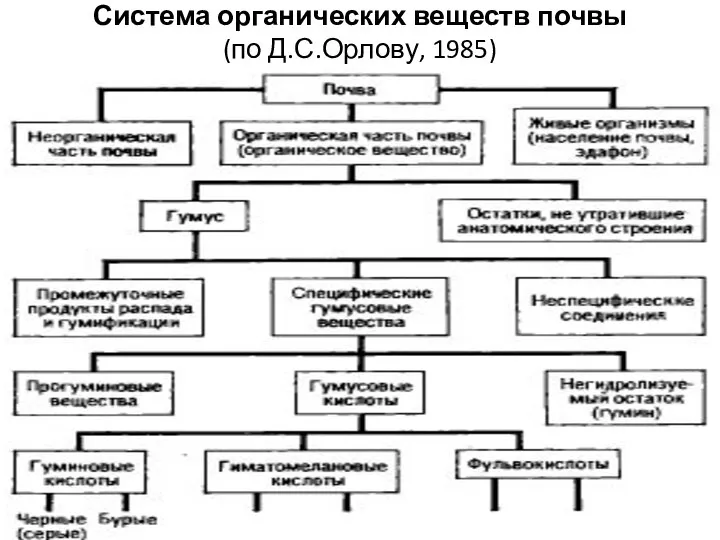 Система органических веществ почвы (по Д.С.Орлову, 1985)