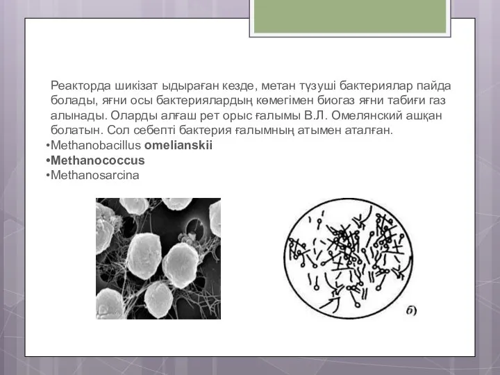 Реакторда шикізат ыдыраған кезде, метан түзуші бактериялар пайда болады, яғни осы