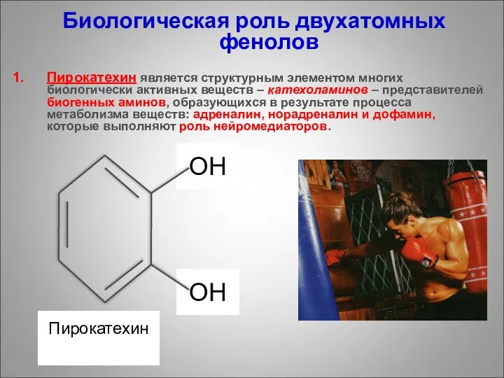 ОН ОН Биологическая роль двухатомных фенолов Пирокатехин является структурным элементом многих