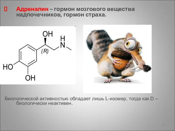 Адреналин – гормон мозгового вещества надпочечников, гормон страха. С Биологической активностью