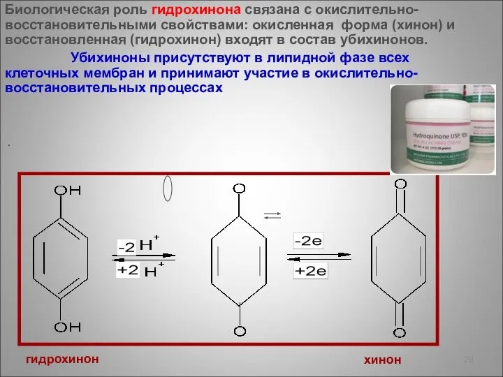 Биологическая роль гидрохинона связана с окислительно-восстановительными свойствами: окисленная форма (хинон) и