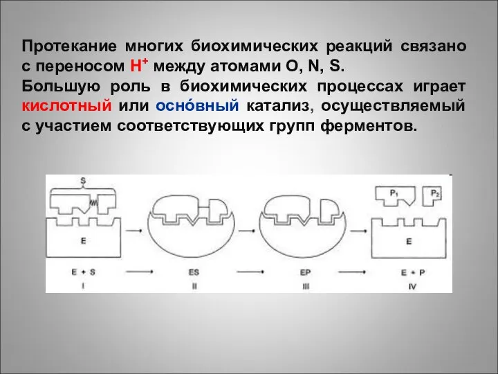 Протекание многих биохимических реакций связано с переносом H+ между атомами O,