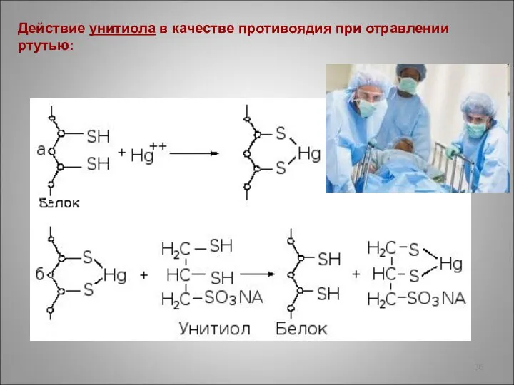 Действие унитиола в качестве противоядия при отравлении ртутью: