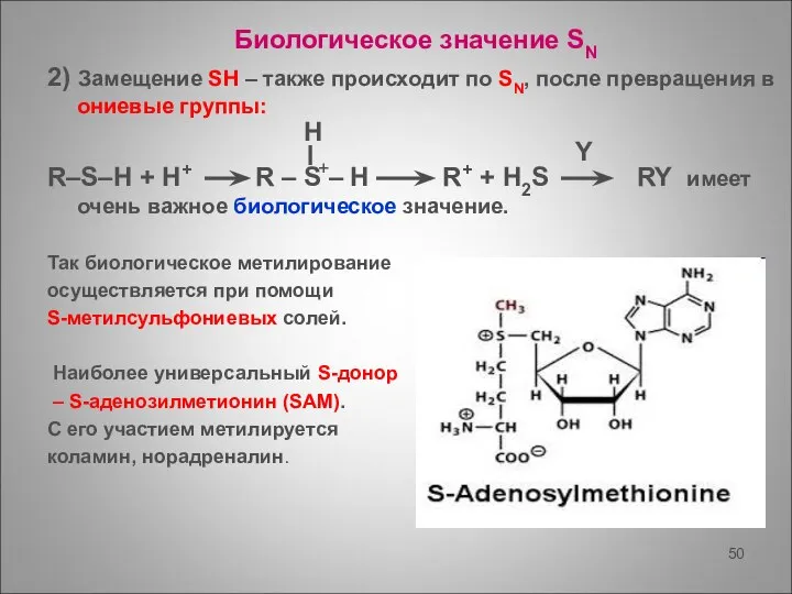 Биологическое значение SN 2) Замещение SH – также происходит по SN,