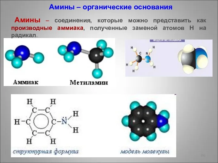 Амины – органические основания Амины – соединения, которые можно представить как