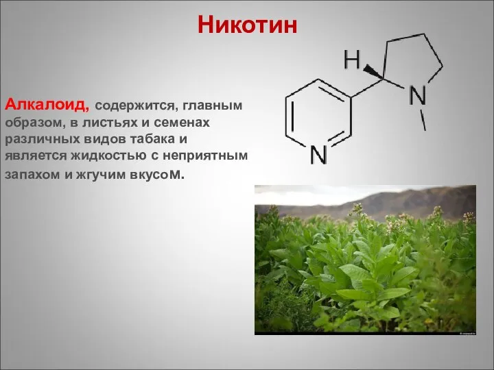 Алкалоид, содержится, главным образом, в листьях и семенах различных видов табака