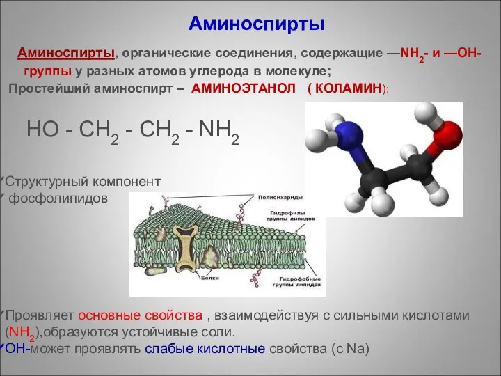 Cтруктурный компонент фосфолипидов Проявляет основные свойства , взаимодействуя с сильными кислотами(NH2),образуются